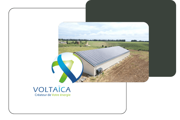 Voltaïca témoigne