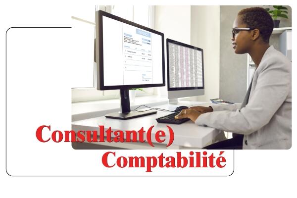 Consultant(e) Comptabilité [annonce du 05/08/2024]